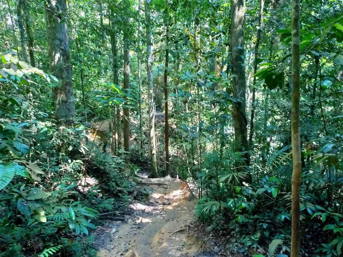 雪兰莪 5 条初学者必爱的徒步旅行路线 - TAHAN Outdoor