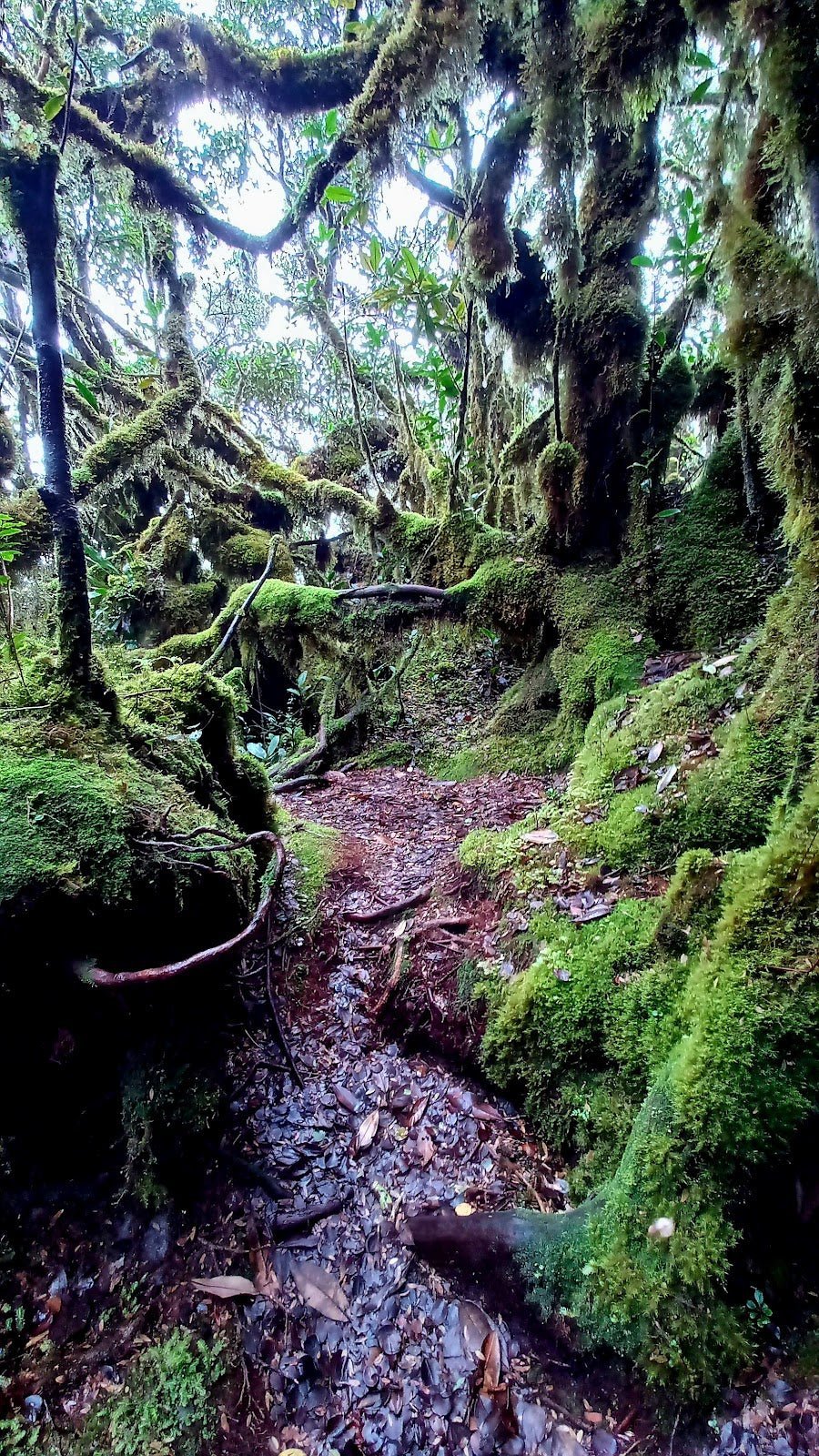 5 Hidden Caving Spots in Malaysia - TAHAN Outdoor