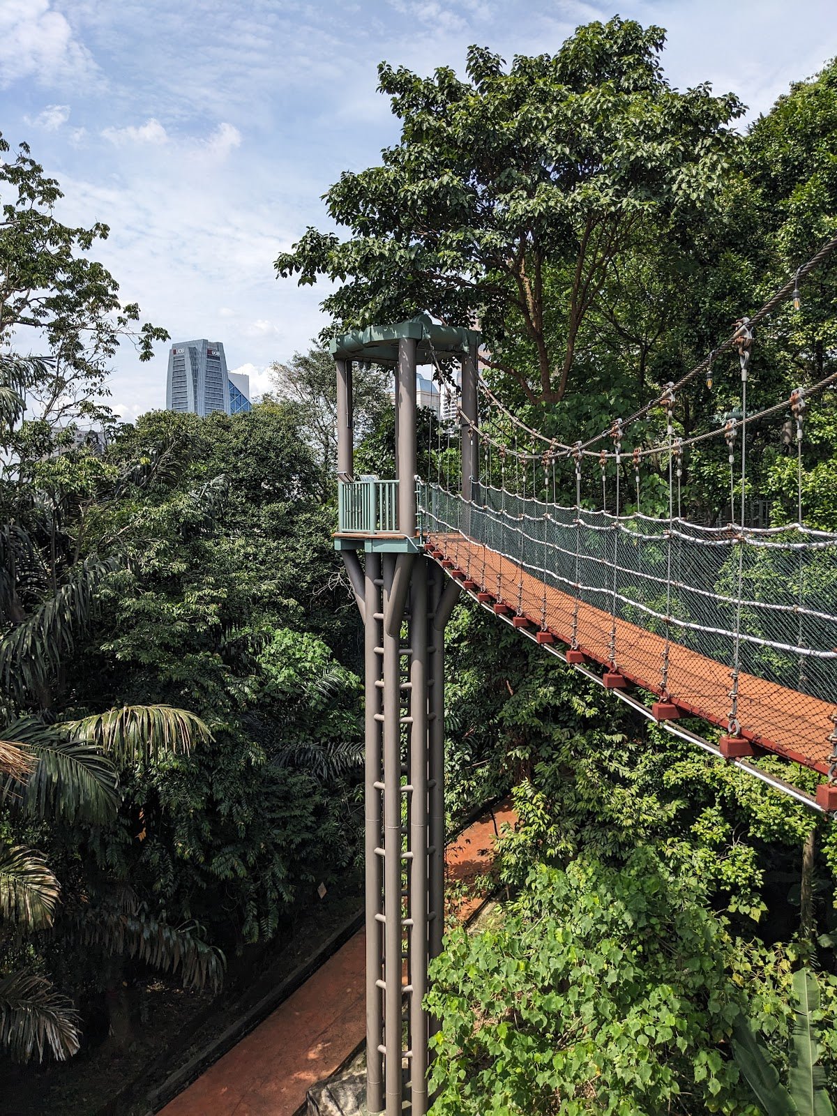 Bukit Nanas, Kuala Lumpur: A Hiker's Guide (2026) - TAHAN Outdoor