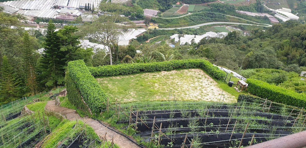 Cozy Leisure Farm Cameron Highlands — A Farm Stay with a View That'll Make You Forget You're Camping - TAHAN Outdoor