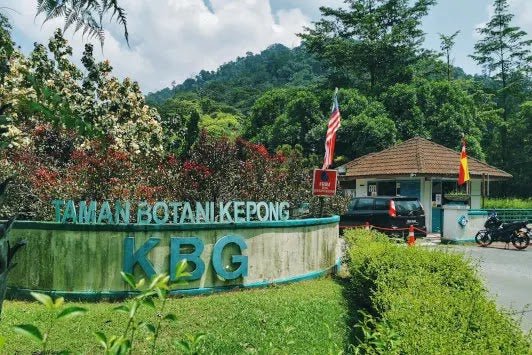 FRIM Kepong: A Hiker's Guide (2026) - TAHAN Outdoor