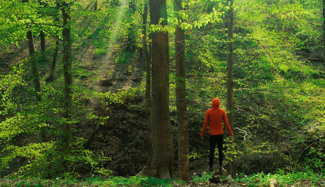 hiker-forest-PY7K84Z (1) - TAHAN Outdoor