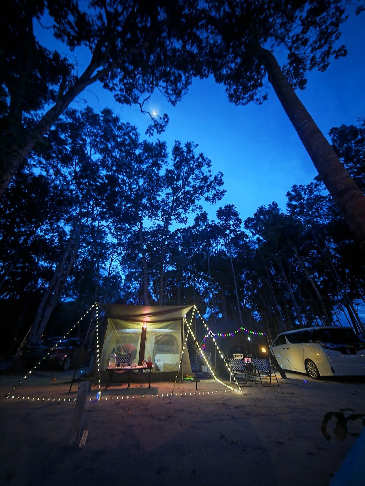 Kingfisher Campsite Sedili — A Hidden Beach Camp in Johor Worth Knowing About - TAHAN Outdoor