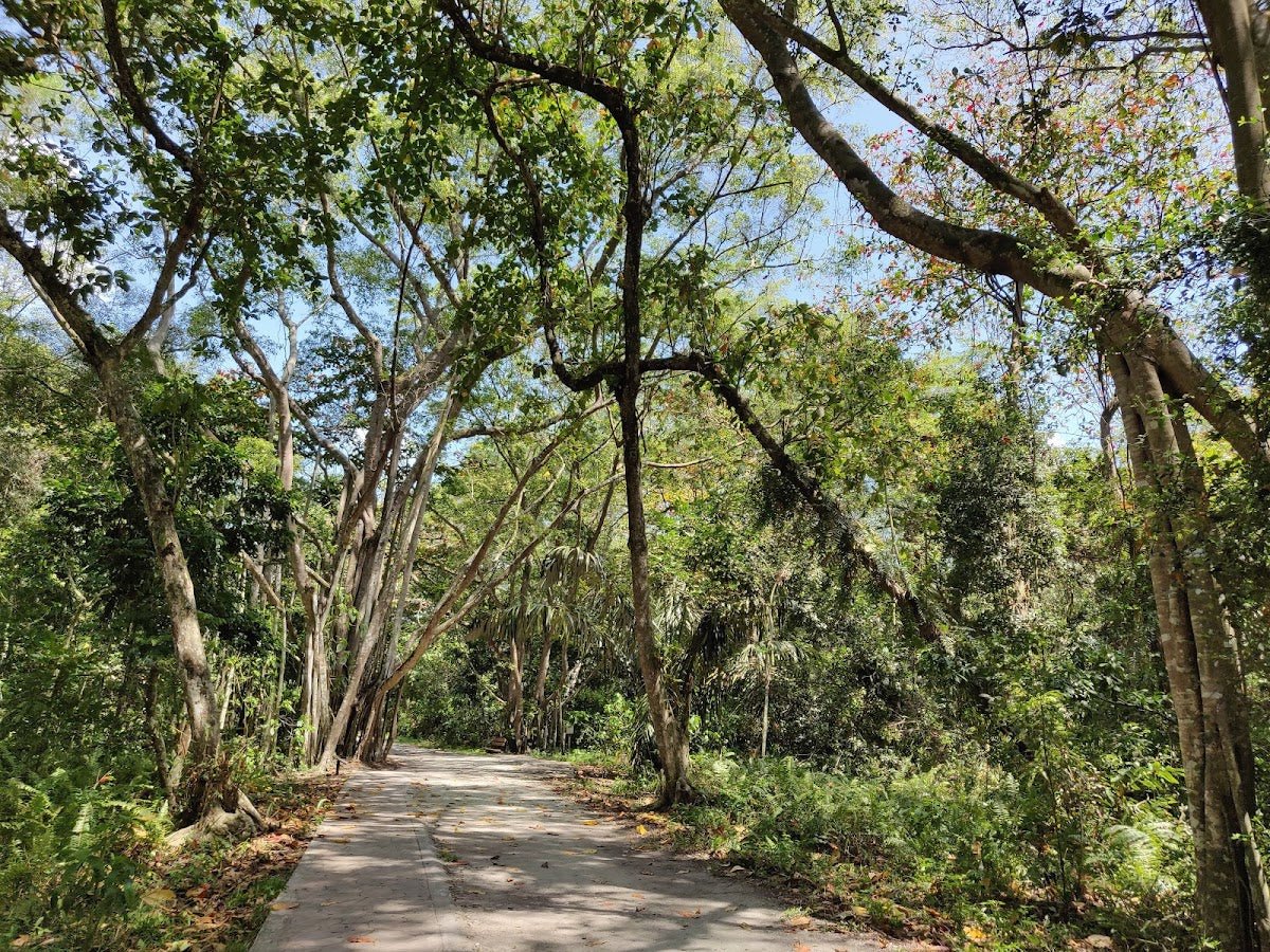 Kuala Selangor Nature Park — A Day Out Worth the Mozzie Battle - TAHAN Outdoor
