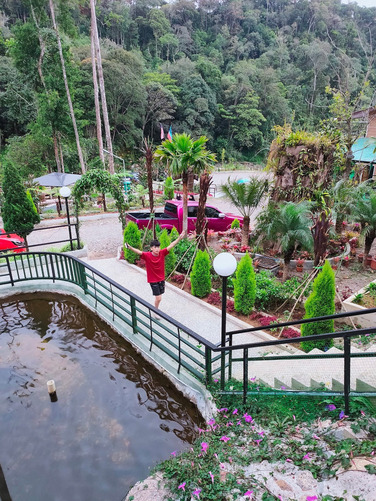 Mesilau Nature Resort — What You Need to Know Before You Go - TAHAN Outdoor