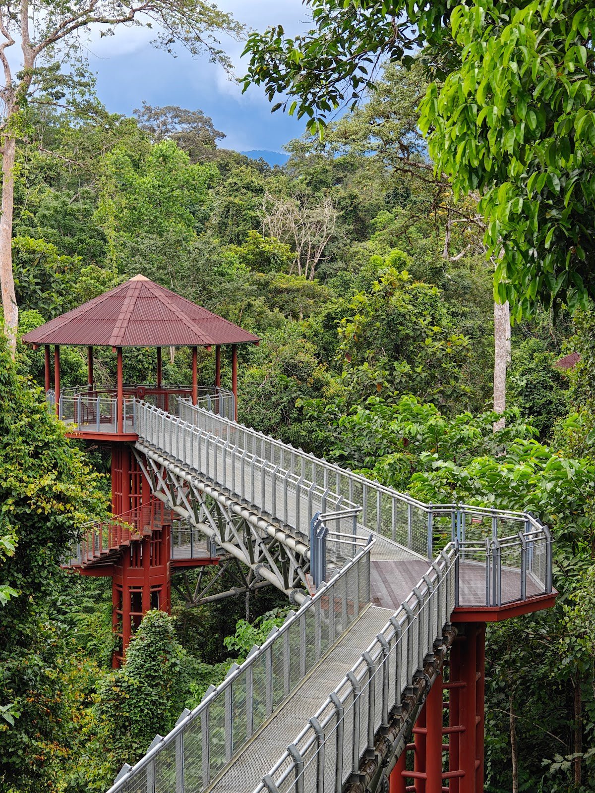 Taman Negara: The Complete Outdoor Guide (2026) - TAHAN Outdoor