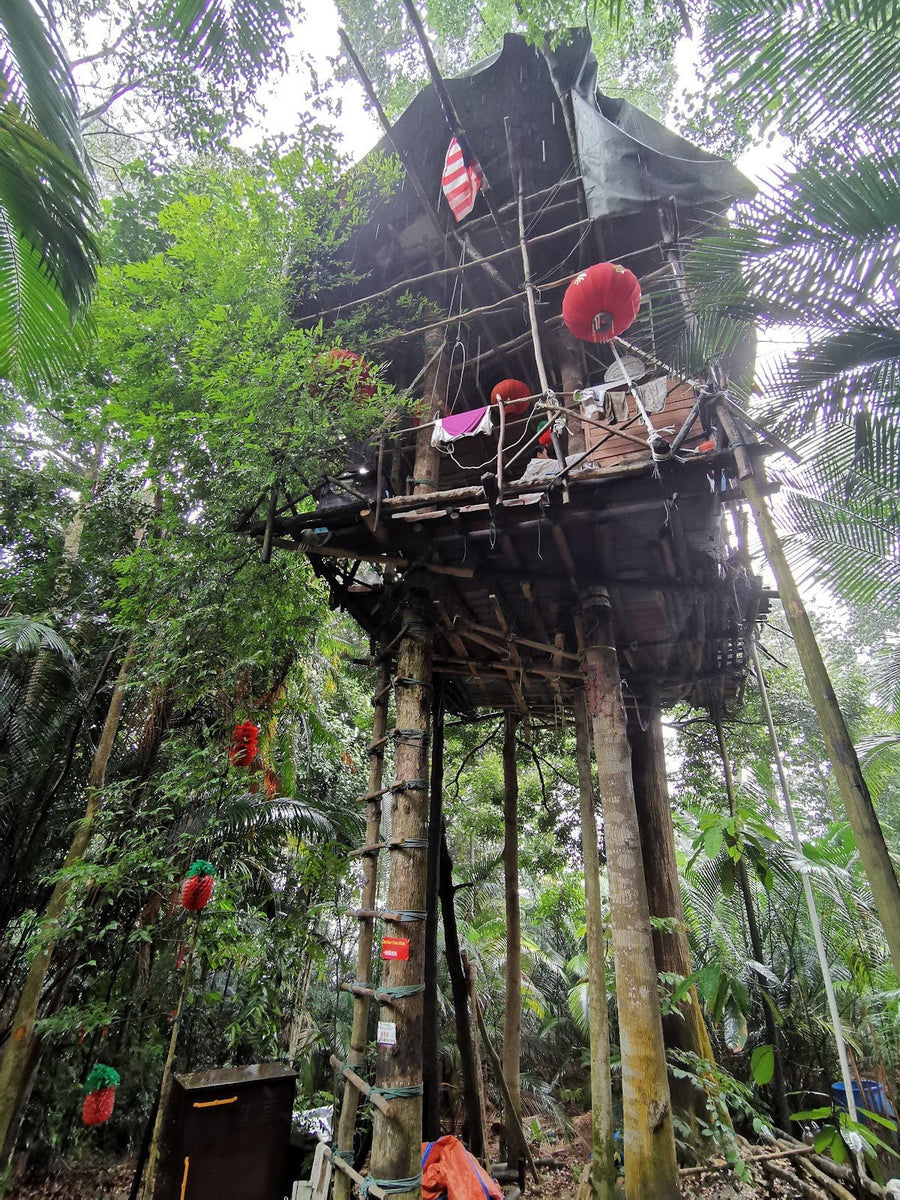 Apek Hill (Bukit Apek): A Hiker's Guide (2026) - TAHAN Outdoor