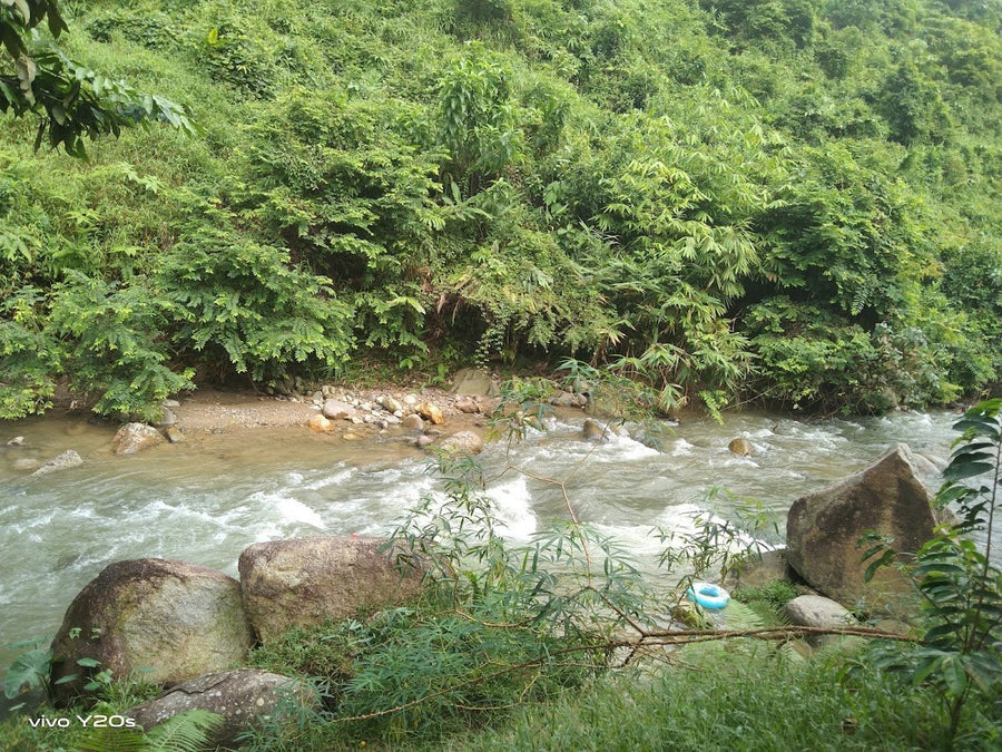 Aqiss River Camp, Gombak — A Hidden Riverside Camp Run by the Nicest Owners - TAHAN Outdoor
