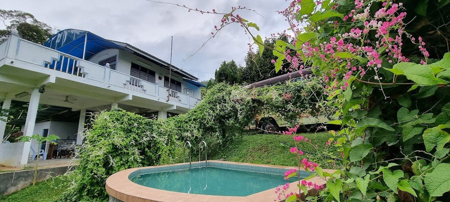 Bangawan Solo Campsite, Balik Pulau — A Quiet Little Find on Penang Island - TAHAN Outdoor