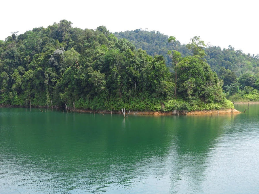Batang Ai National Park — Borneo's Most Authentic Rainforest Experience - TAHAN Outdoor