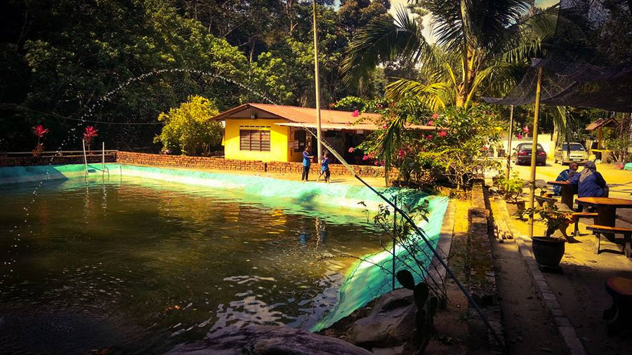 Berhulucamp, Jempol — The NS Outdoor Camp That's Built for Groups - TAHAN Outdoor