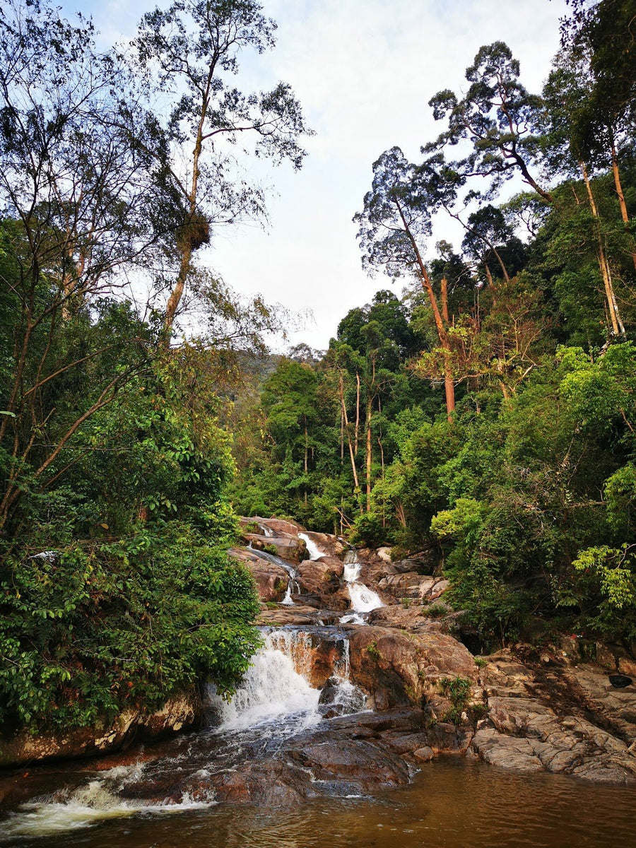 Best Hiking Apps to Enhance Your Outdoor Experience - TAHAN Outdoor