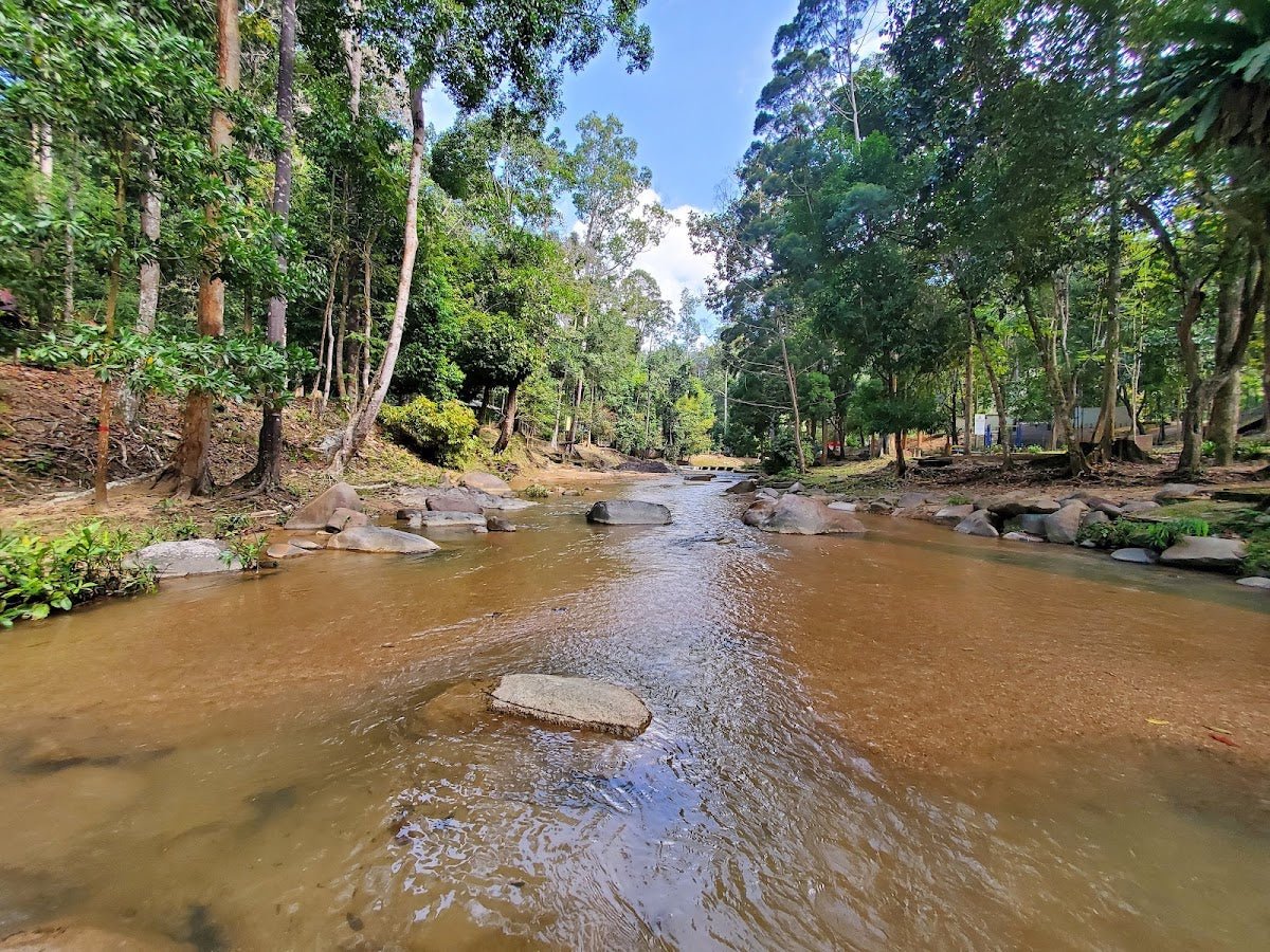 Bukit Bakar, Kelantan: A Hiker's Guide (2026) - TAHAN Outdoor