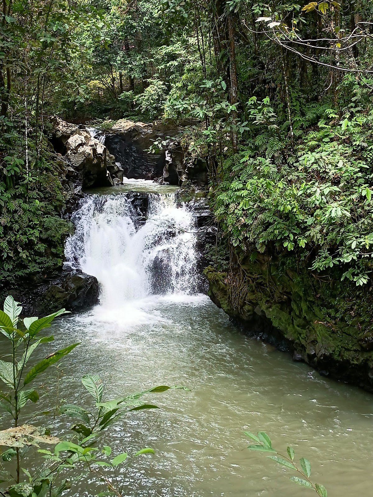 Bukit Bombalai: A Hiker's Guide (2026) - TAHAN Outdoor