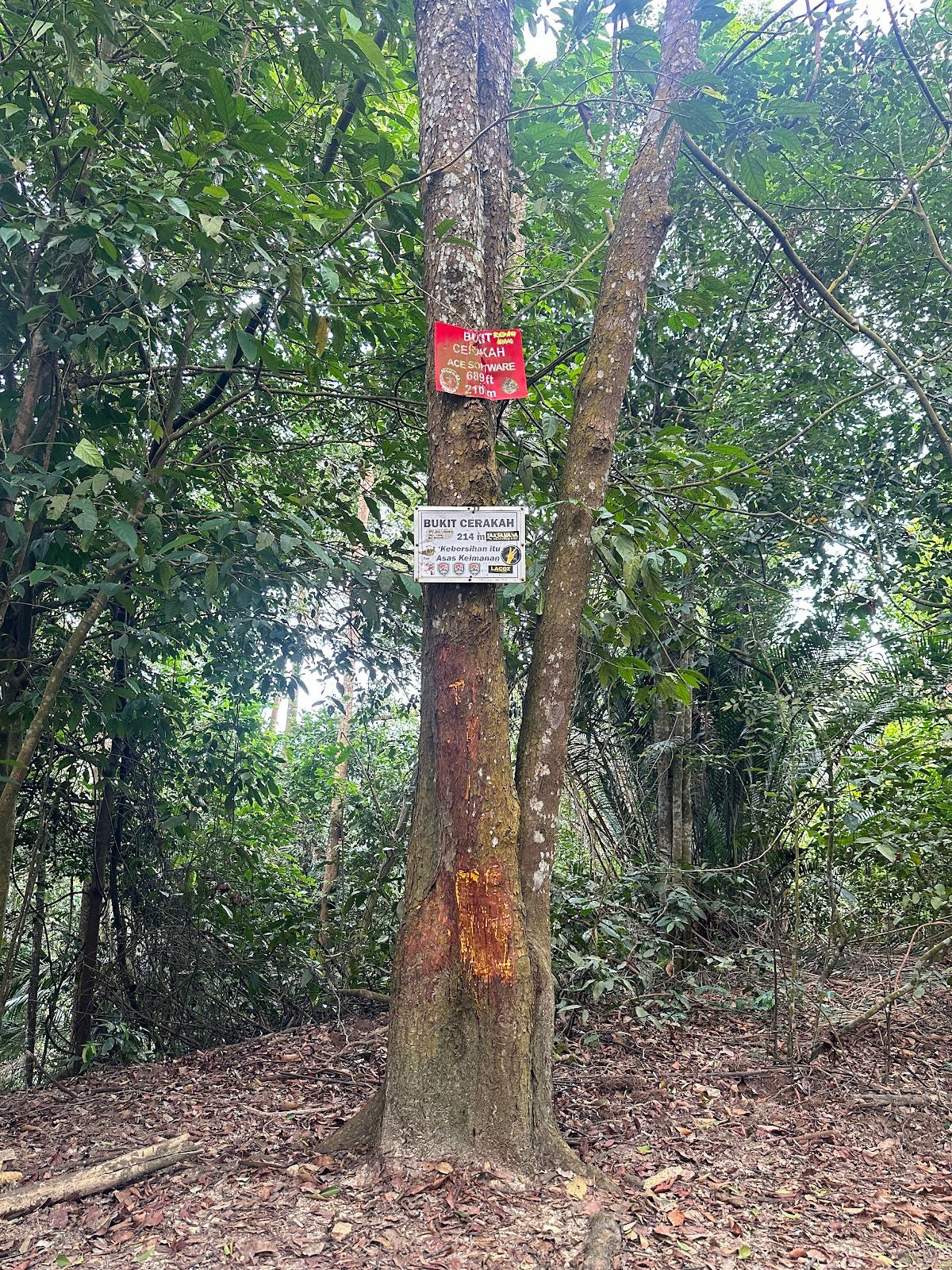 Bukit Botak, Selangor: A Hiker's Guide (2026) - TAHAN Outdoor