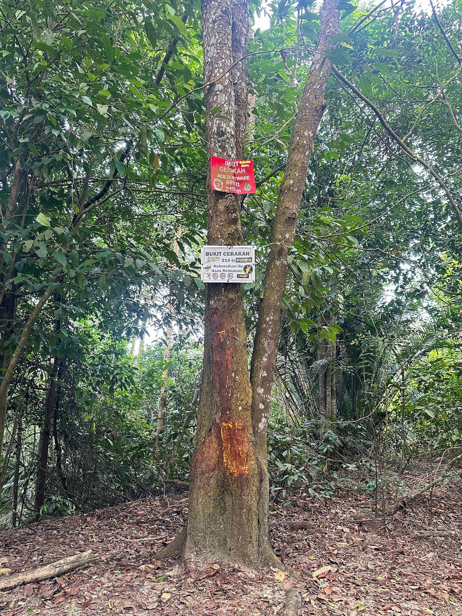 Bukit Botak, Selangor: A Hiker's Guide (2026) - TAHAN Outdoor