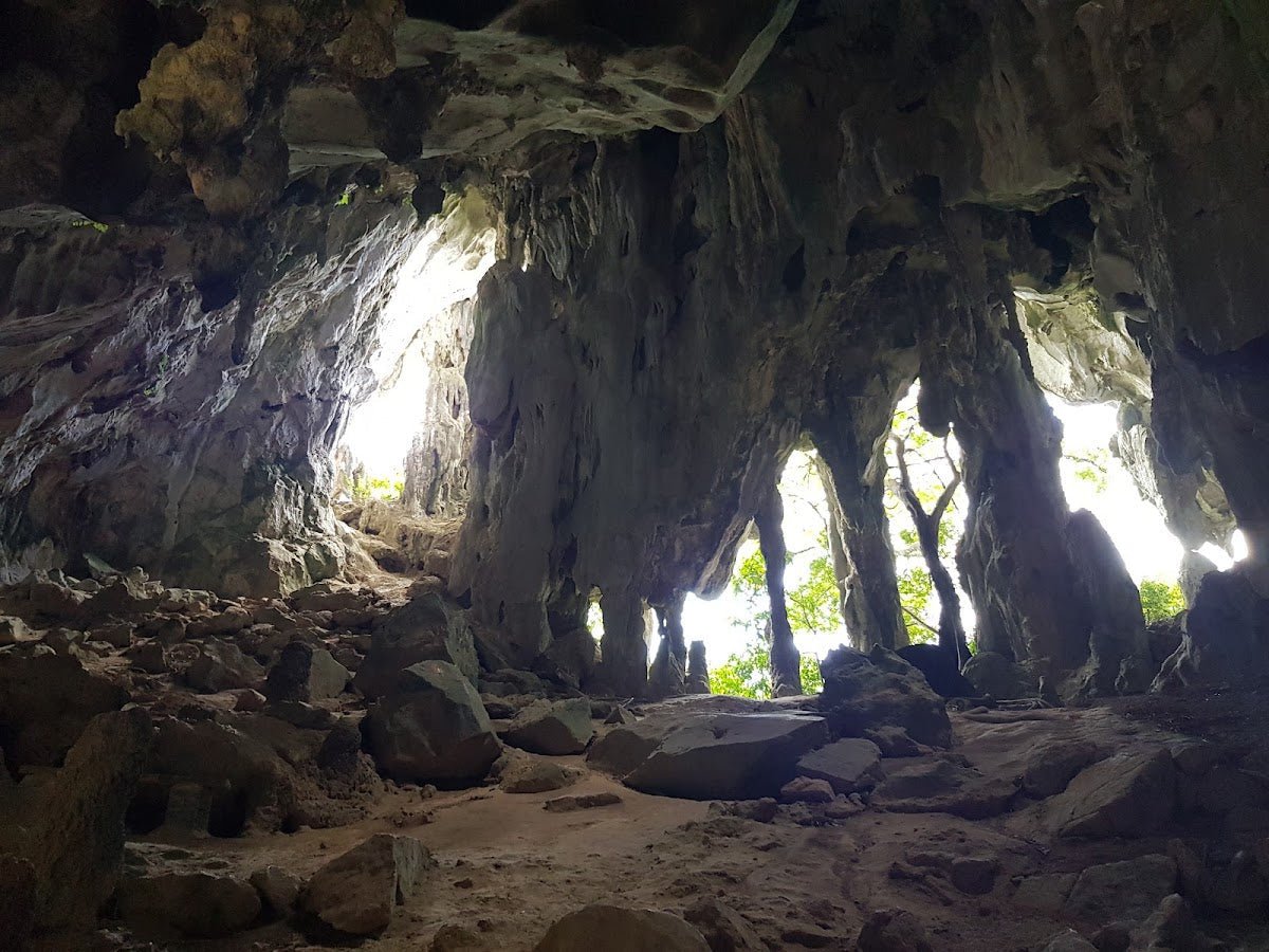 Bukit Charas, Pahang: A Hiker's Guide (2026) - TAHAN Outdoor