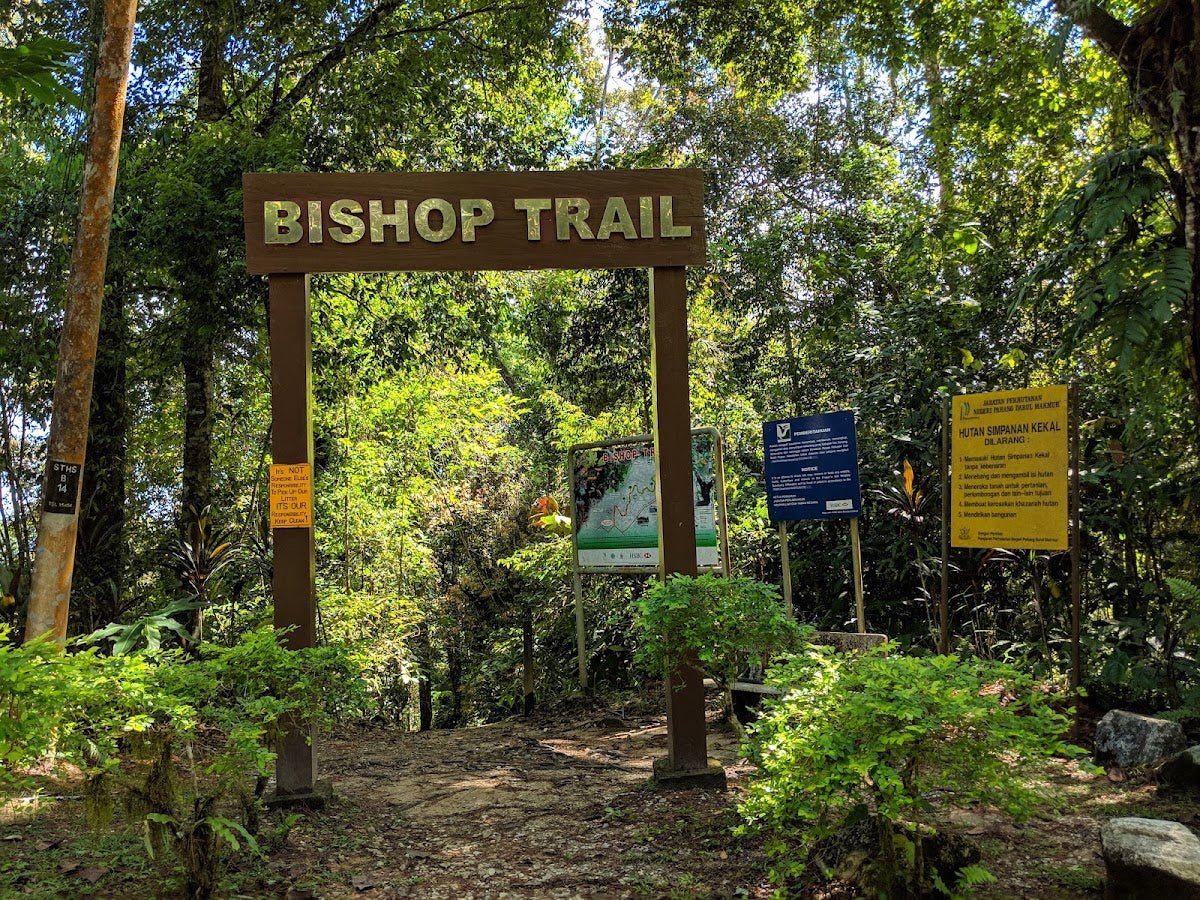 Bukit Fraser Pine Tree Trail: A Hiker's Guide (2026) - TAHAN Outdoor