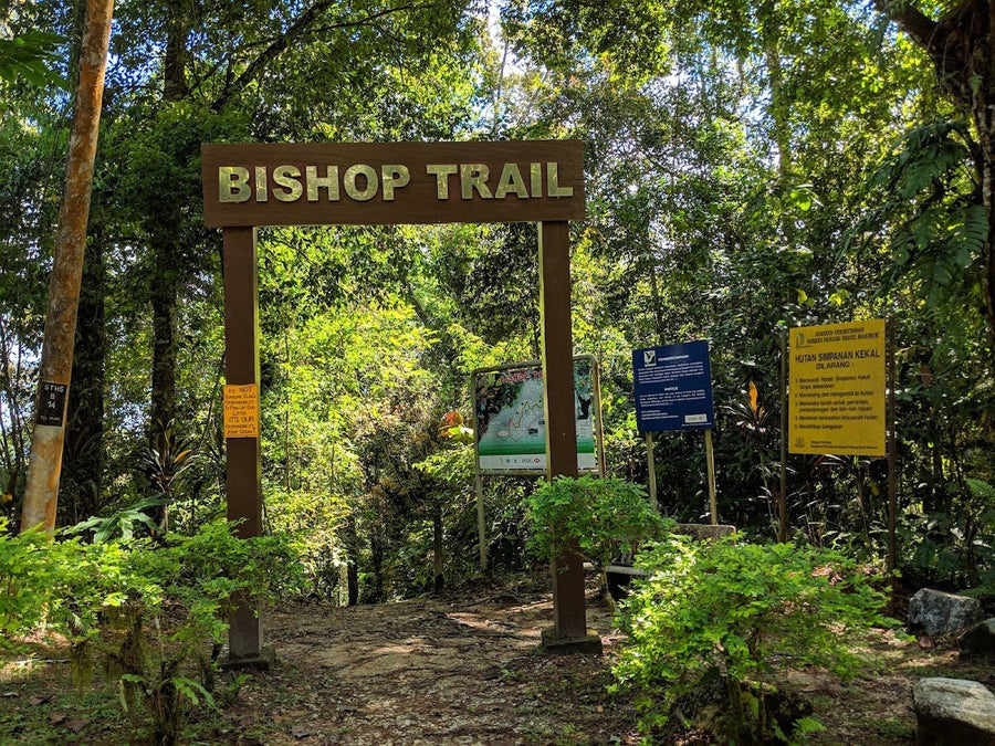 Bukit Fraser Pine Tree Trail: A Hiker's Guide (2026) - TAHAN Outdoor