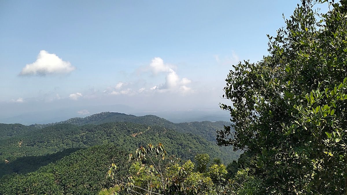 Bukit Gapis, Melaka: A Hiker's Guide (2026) - TAHAN Outdoor