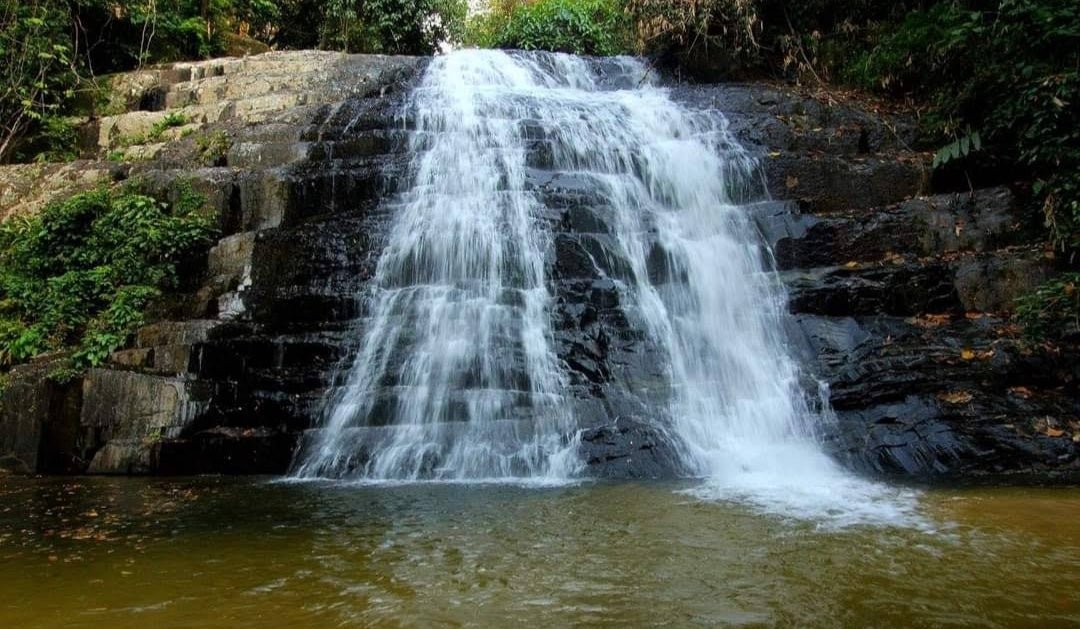 Bukit Hijau, Kedah: A Hiker's Guide (2026) - TAHAN Outdoor