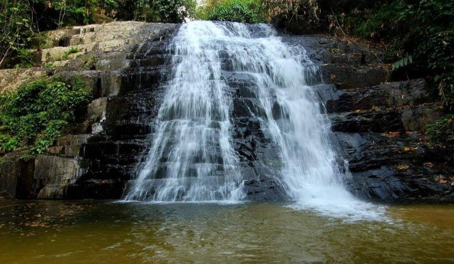 Bukit Hijau, Kedah: A Hiker's Guide (2026) - TAHAN Outdoor