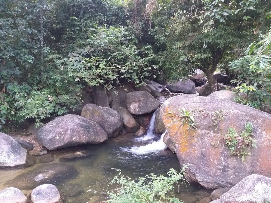 Bukit Jana, Kamunting: A Hiker's Guide (2026) - TAHAN Outdoor