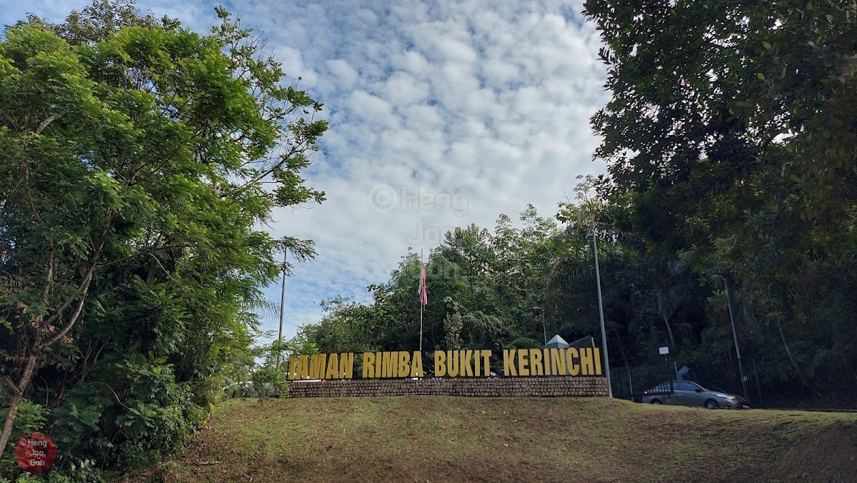 Bukit Kerinchi: A Hiker's Guide (2026) - TAHAN Outdoor