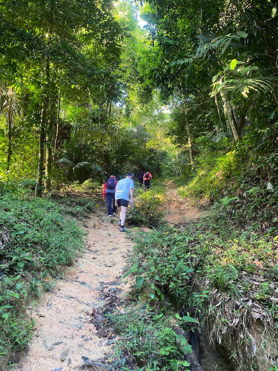 Bukit Lagong: A Hiker's Guide (2026) - TAHAN Outdoor