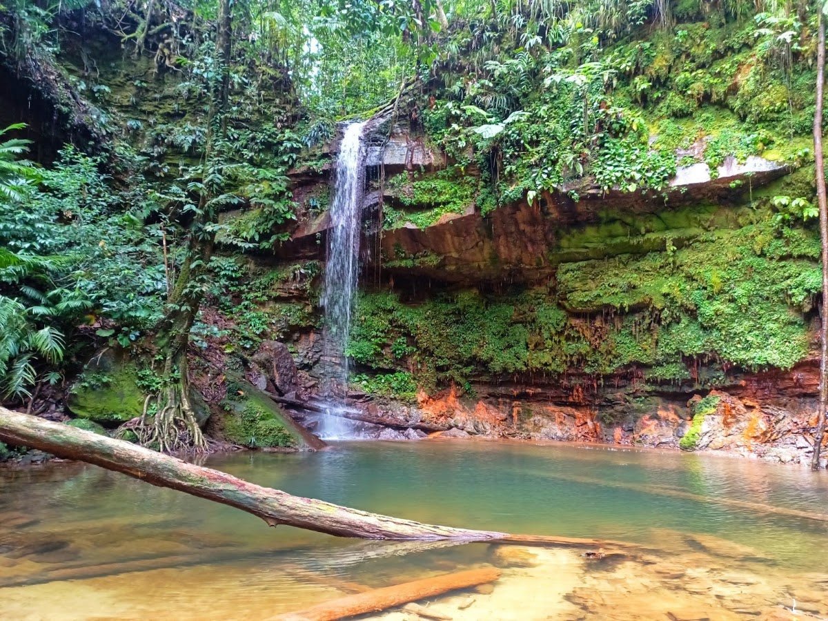 Bukit Lambir (Lambir Hills National Park): A Hiker's Guide (2026) - TAHAN Outdoor