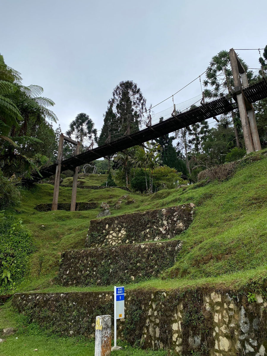 Bukit Larut (Maxwell Hill): A Hiker's Guide (2026) - TAHAN Outdoor