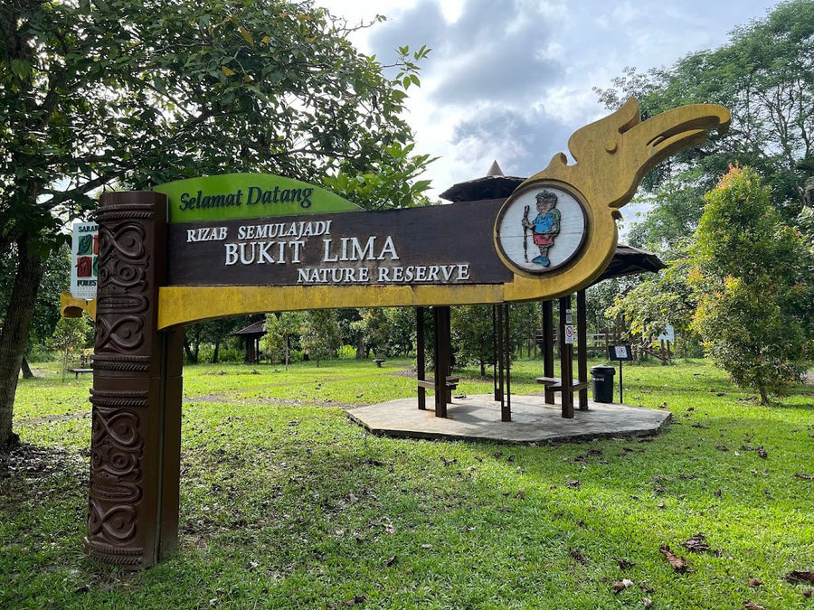 Bukit Lima Nature Reserve, Sibu: A Hiker's Guide (2026) - TAHAN Outdoor