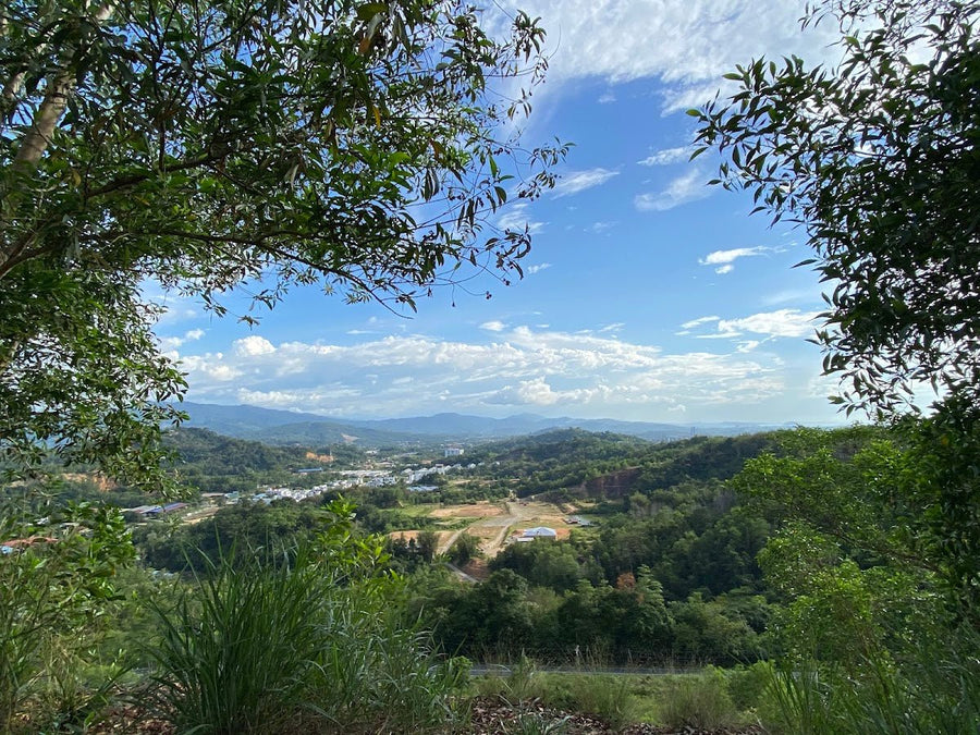 Bukit Padang, Sabah: A Hiker's Guide (2026) - TAHAN Outdoor