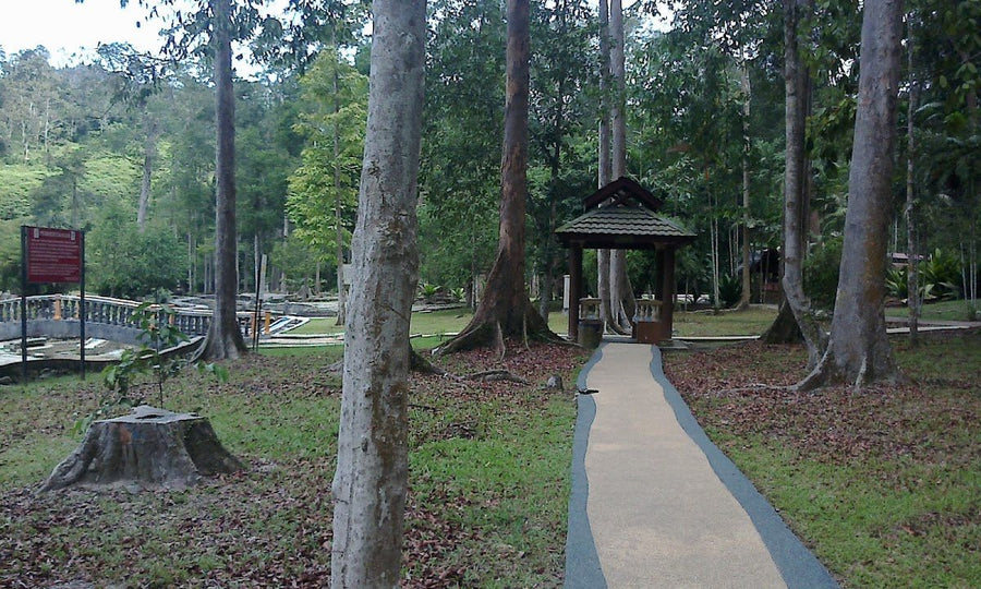 Bukit Panchor, Penang: A Hiker's Guide (2026) - TAHAN Outdoor