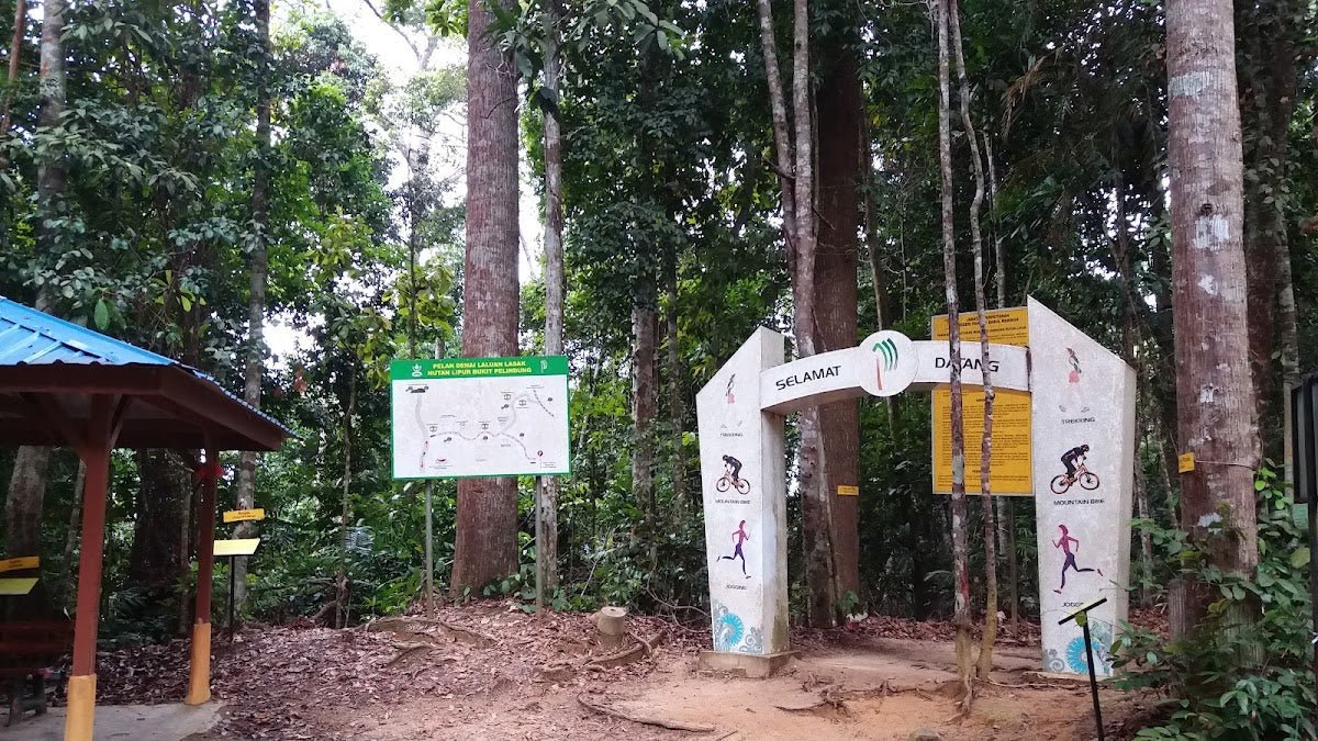 Bukit Pelindung, Kuantan: A Hiker's Guide (2026) - TAHAN Outdoor