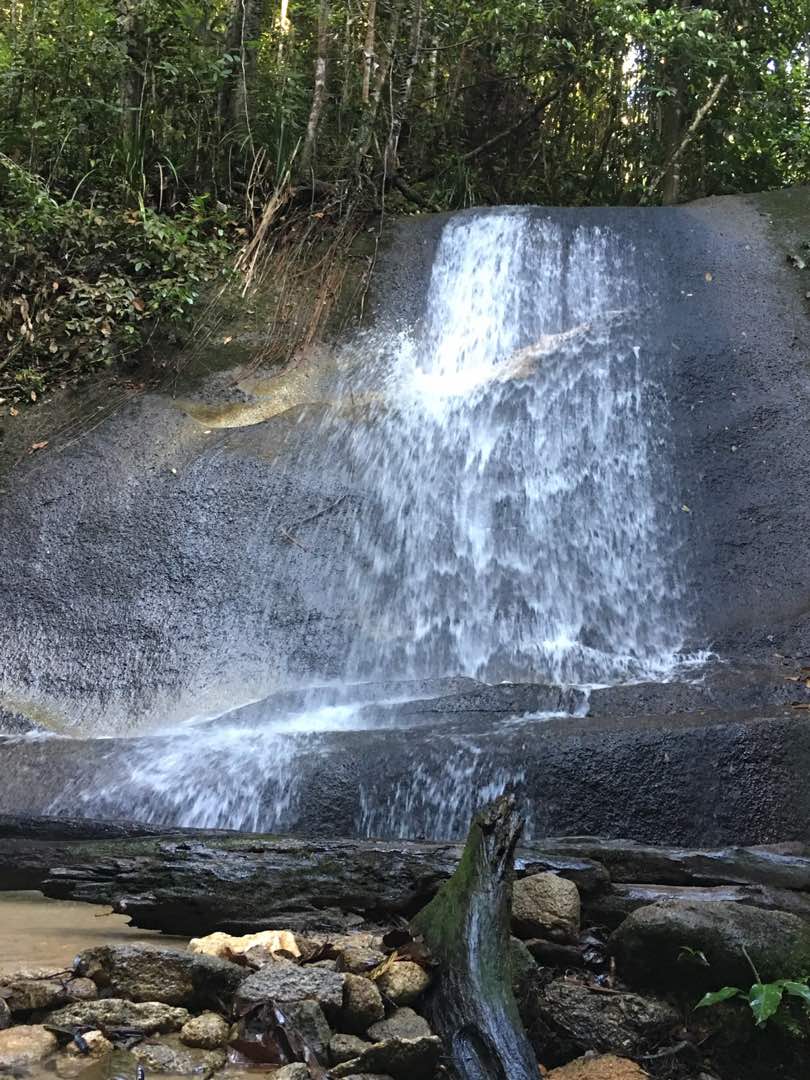 Bukit Saga, Ampang: A Hiker's Guide (2026) - TAHAN Outdoor