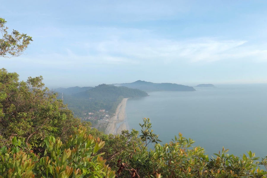 Bukit Selantai, Mersing: A Hiker's Guide (2026) - TAHAN Outdoor