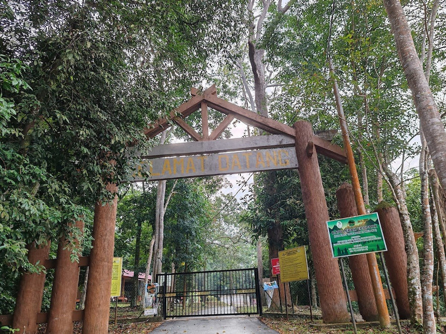 Bukit Senggeh Rainforest Campsite — Melaka's Hidden Jungle Gem - TAHAN Outdoor