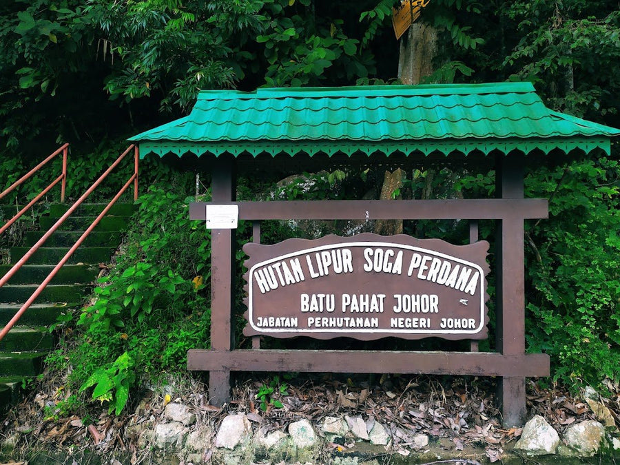 Bukit Soga, Batu Pahat: A Hiker's Guide (2026) - TAHAN Outdoor