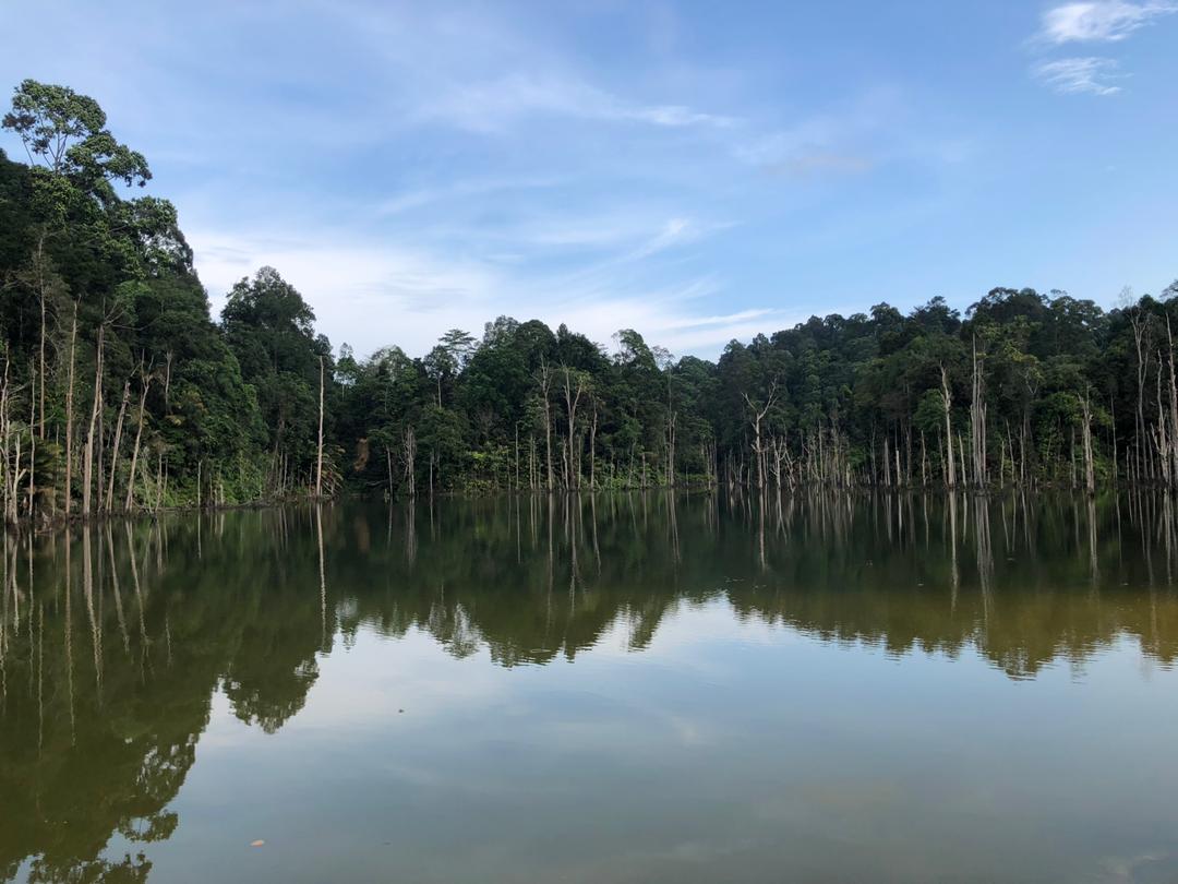 Bukit Sungai Long: A Hiker's Guide (2026) - TAHAN Outdoor