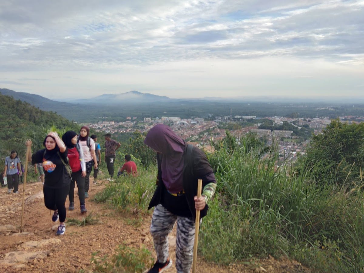 Bukit Taisho, Bahau: A Hiker's Guide (2026) - TAHAN Outdoor