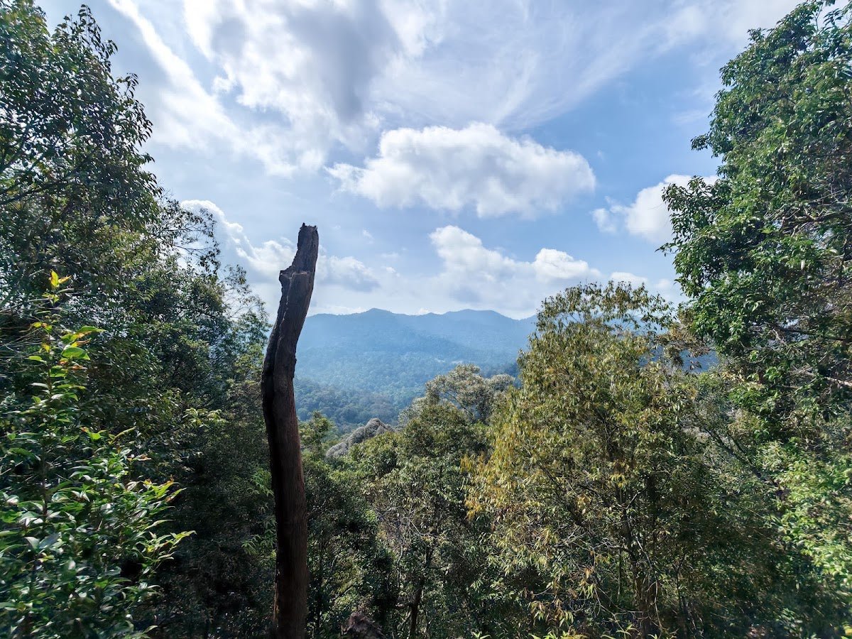 Bukit Teresek, Taman Negara: A Hiker's Guide (2026) - TAHAN Outdoor