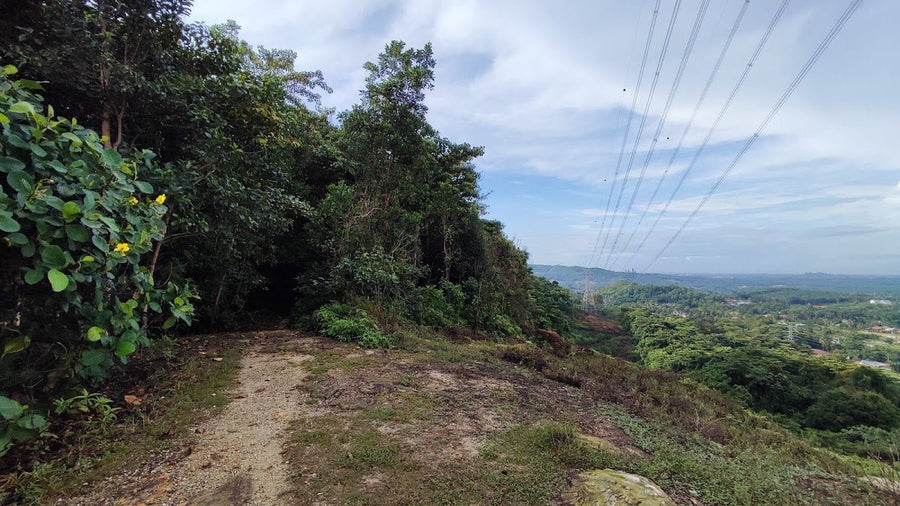 Bukit Tunggul, Selangor: A Hiker's Guide (2026) - TAHAN Outdoor