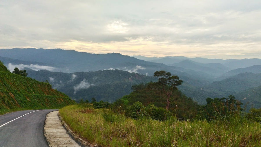 Crocker Range National Park — Sabah's Underrated Green Giant - TAHAN Outdoor