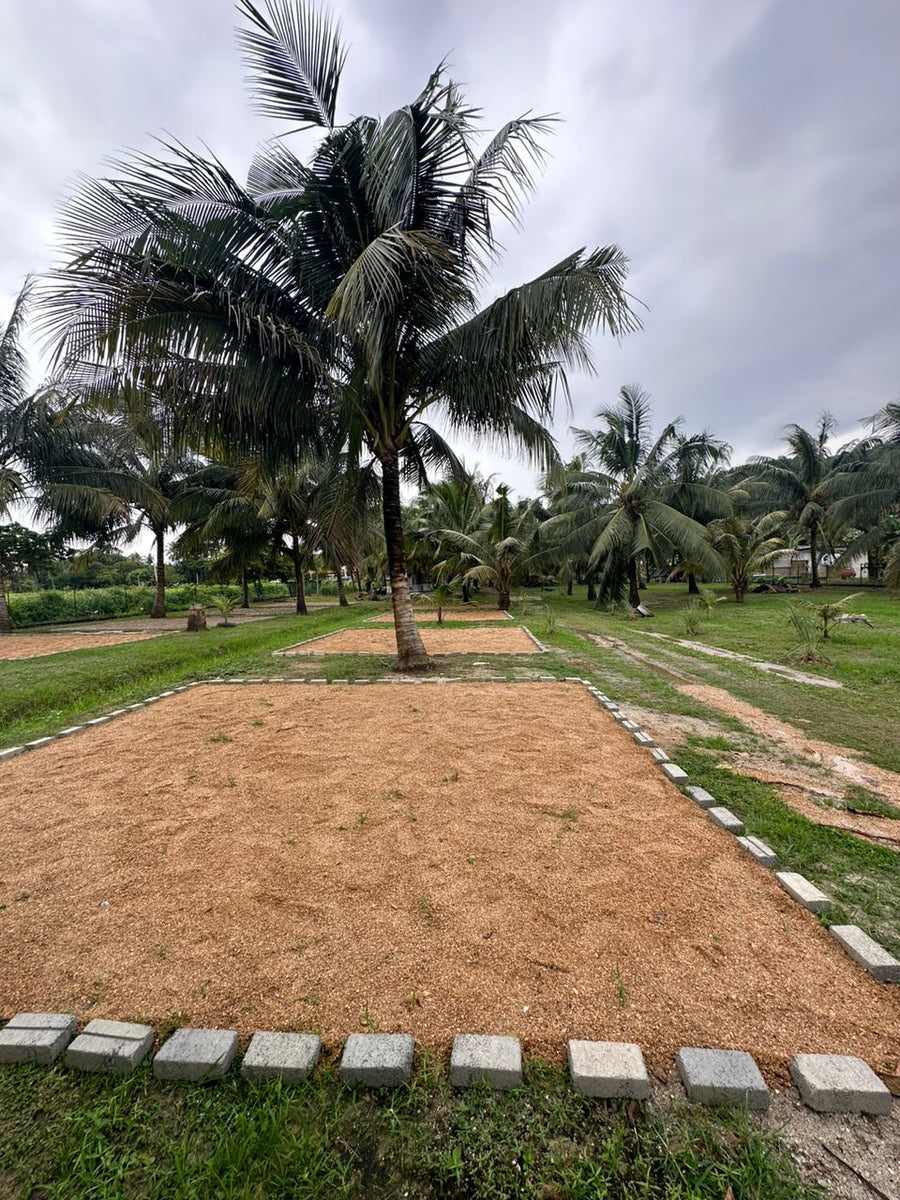 D' Nyiur Campsite, Negeri Sembilan — The Kampung Vibe You Didn't Know You Needed - TAHAN Outdoor