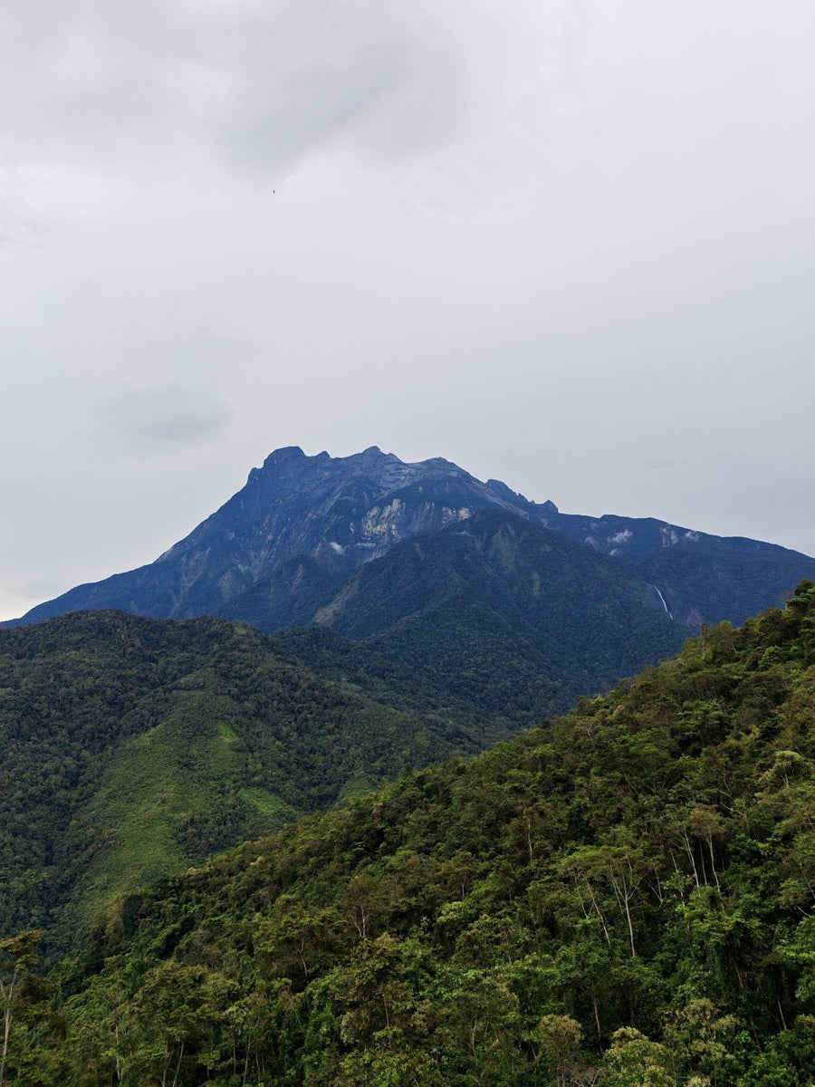 Damai View Campsite, Sabah — Wake Up to Kinabalu Right in Front of Your Tent - TAHAN Outdoor