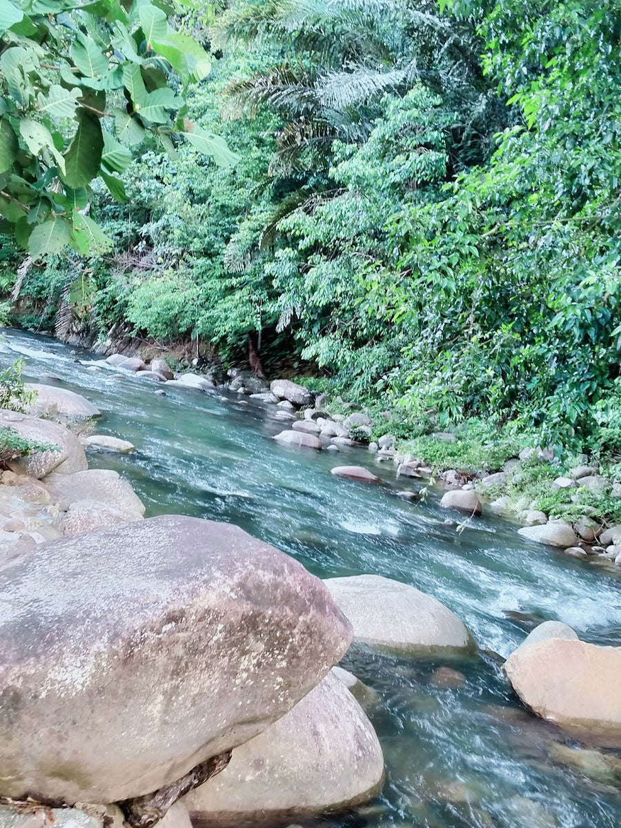 Diana Homestay & Tapak Perkhemahan, Penampang — A Kampung River Escape in Sabah - TAHAN Outdoor
