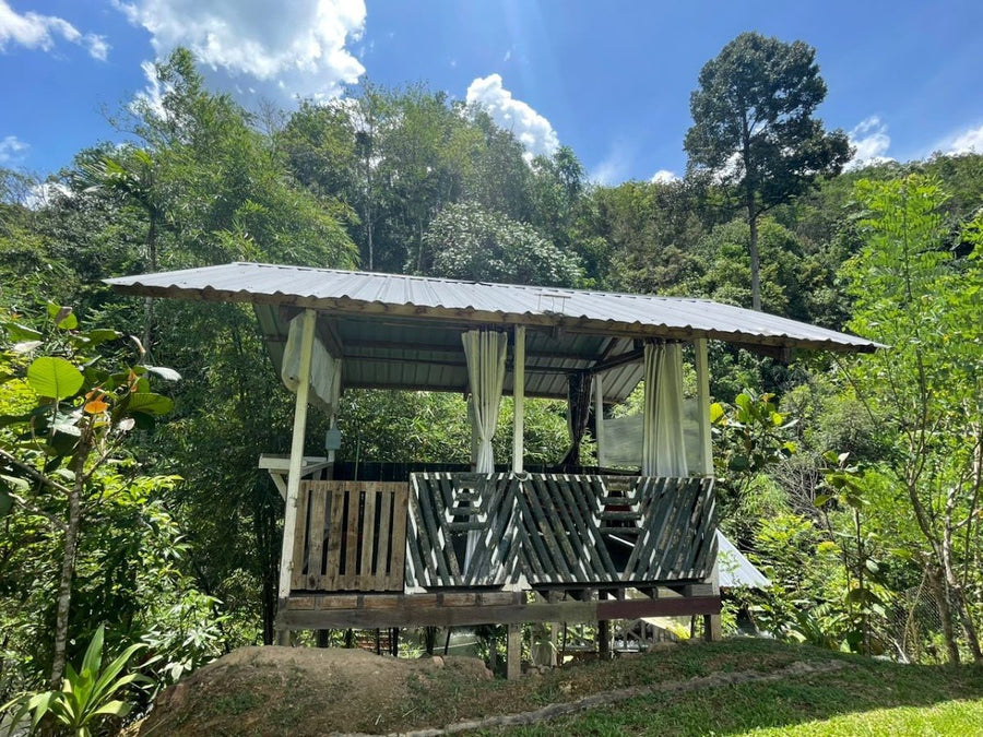 D'Idiama Campsite, Kiulu, Sabah — A Hidden River Camp Worth Finding - TAHAN Outdoor