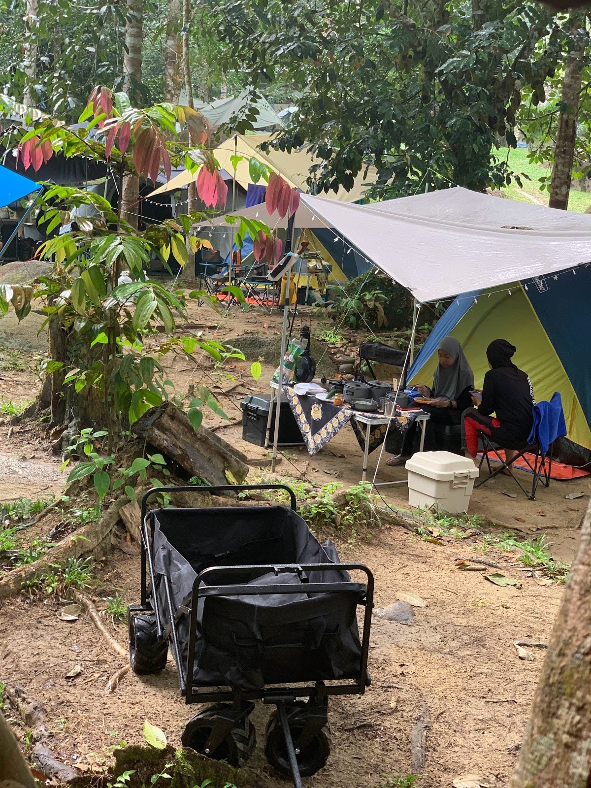 Draco Nature Camp, Perak — One of the Best-Kept Campsites in Malaysia? - TAHAN Outdoor