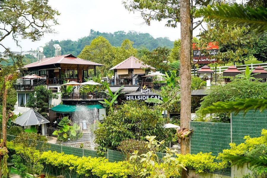 Dusun Comat KL — Janda Baik Vibes Without Leaving the City - TAHAN Outdoor